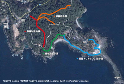 遊歩道（県立真鶴半島自然公園）マップ